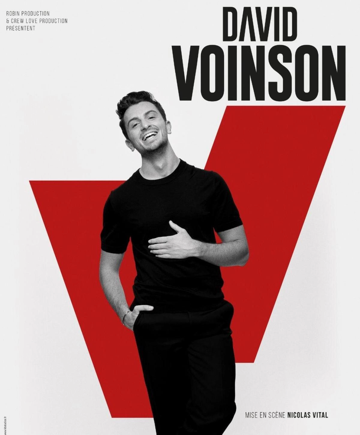 David Voinson at Palais Des Congres Lorient Tickets