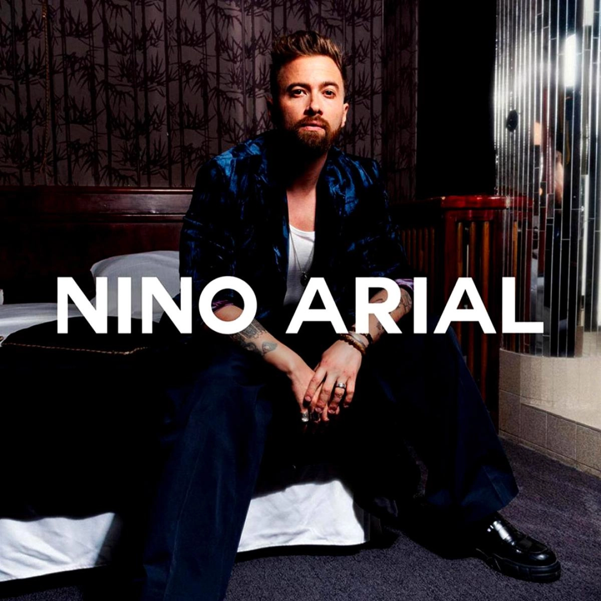 Nino Arial at Zenith Dijon Tickets