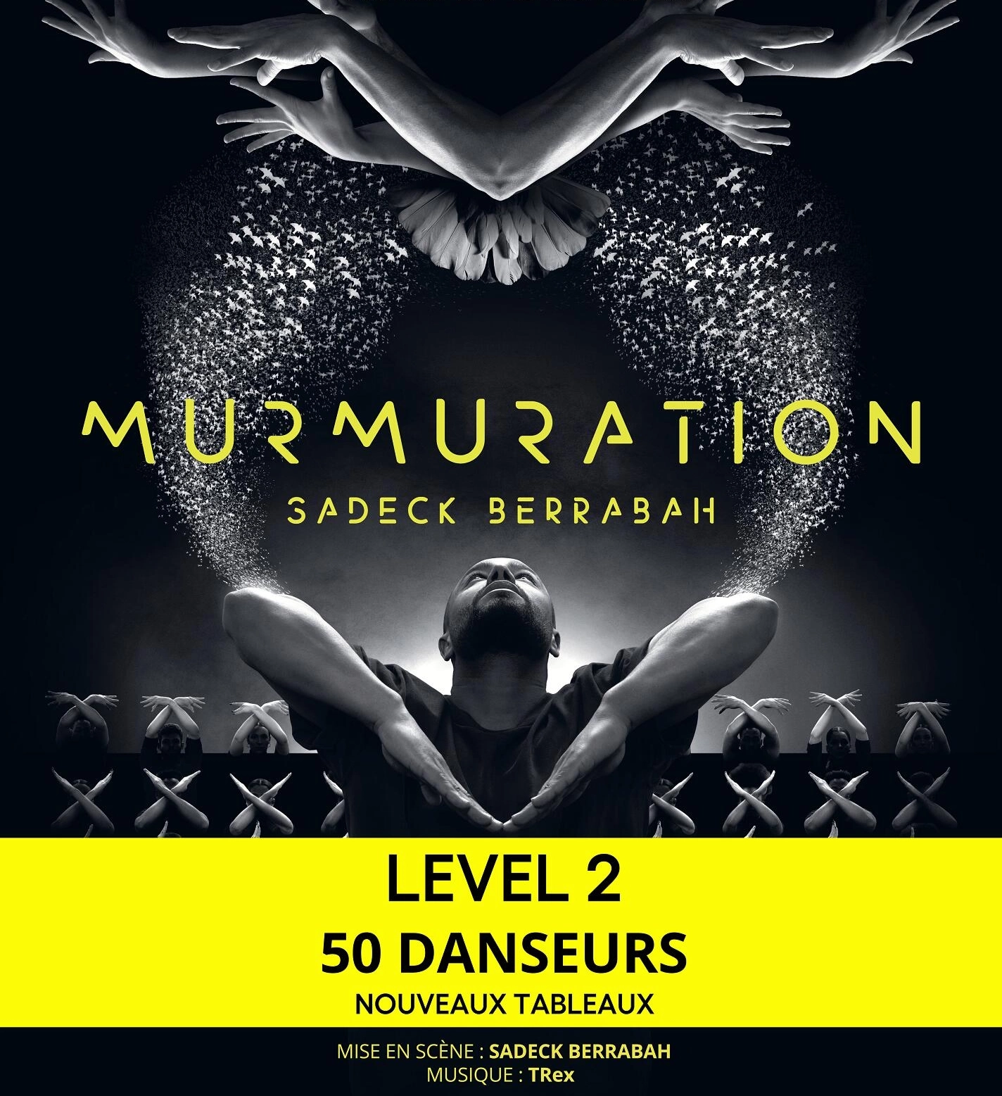 Murmuration - Sadeck Berrabah en Zenith d'Auvergne Tickets