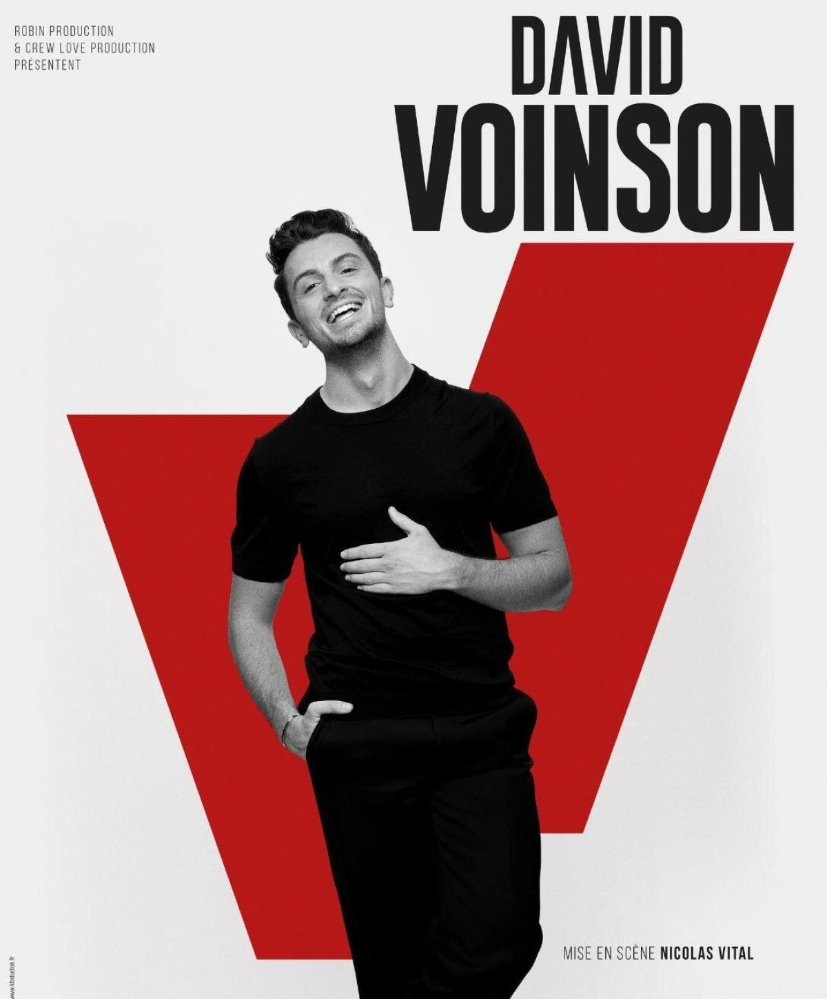 David Voinson at Arkea Arena Tickets