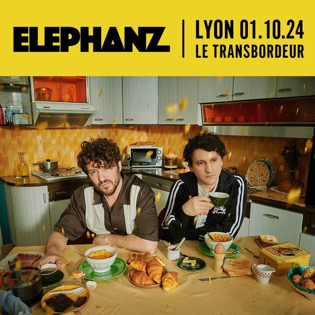 Billets Elephanz (Le Transbordeur - Villeurbanne)