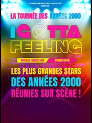 I Gotta Feeling al Zenith Rouen Tickets