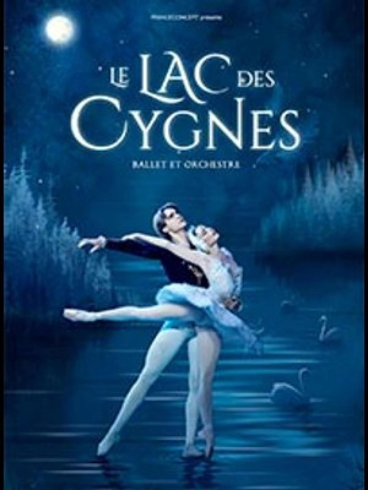 Le Lac Des Cygnes in der Arena Grand Paris Tickets