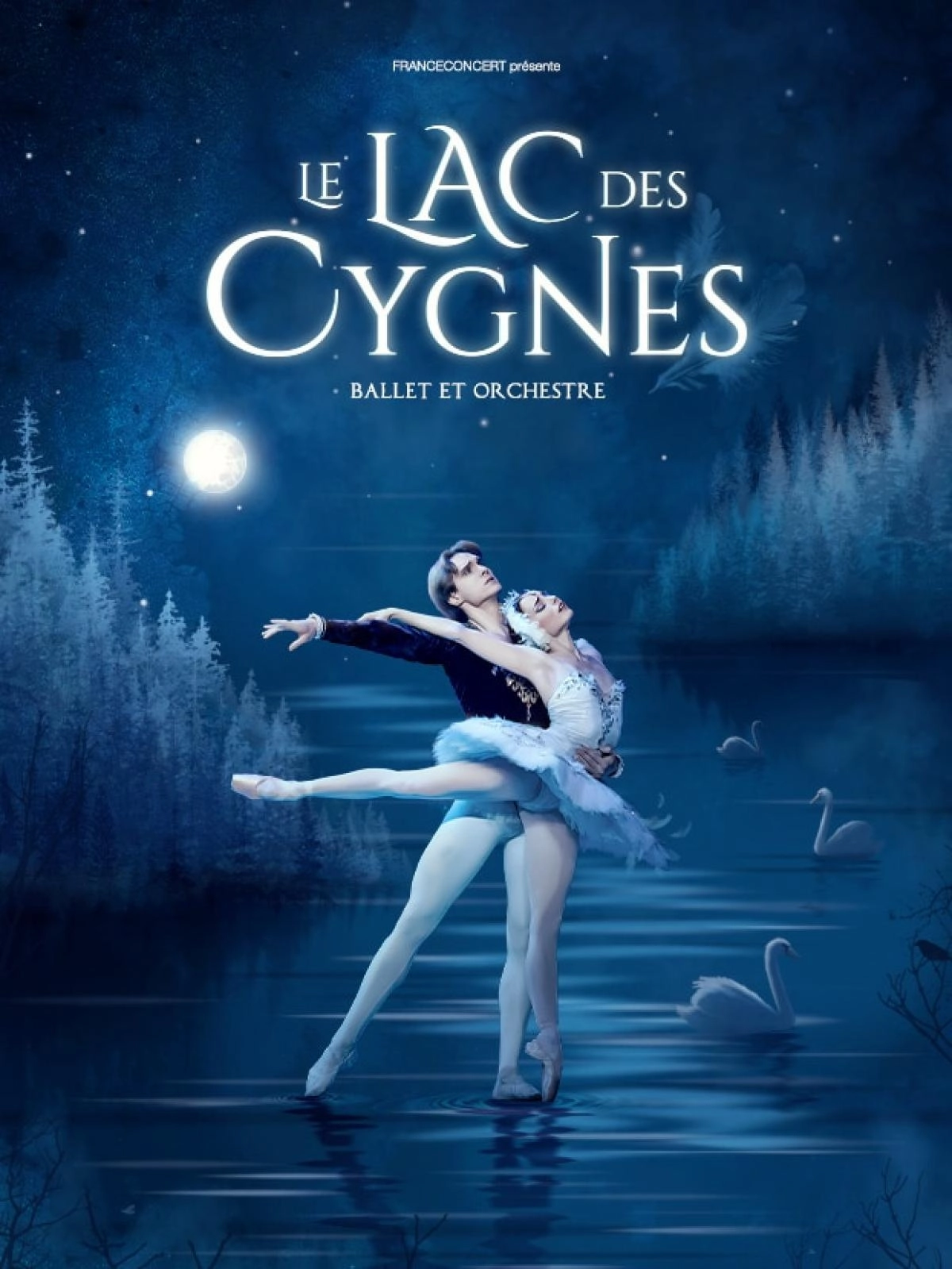 Le Lac Des Cygnes en Arkea Arena Tickets