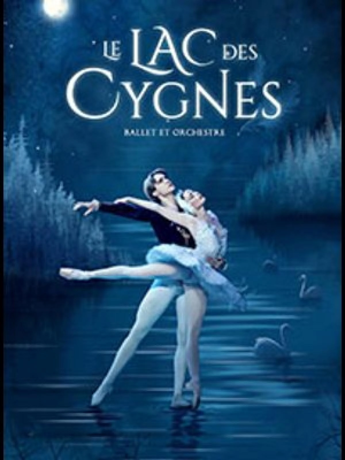 Le Lac Des Cygnes en Le Dome Tickets