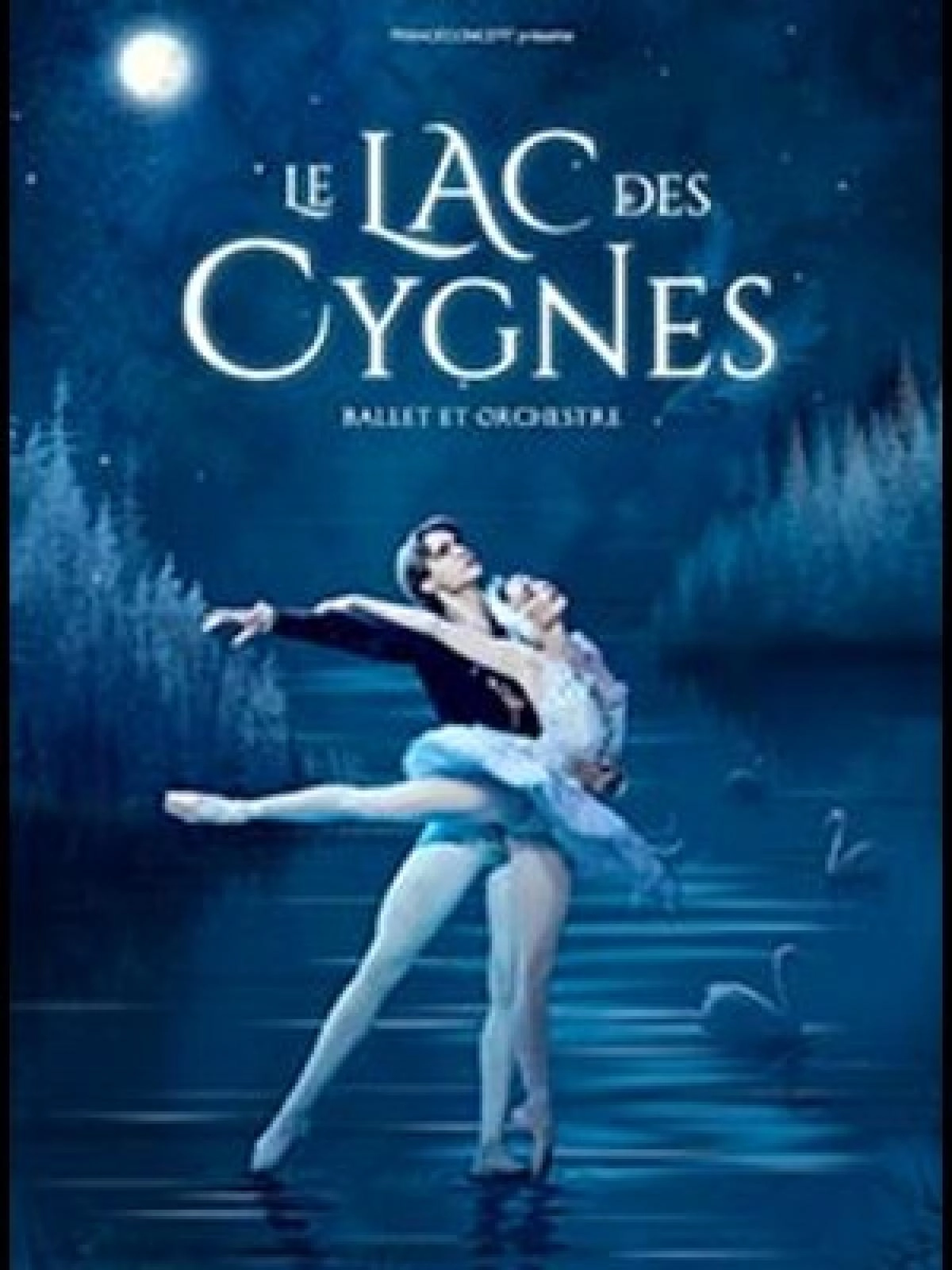 Le Lac Des Cygnes at Narbonne Arena Tickets