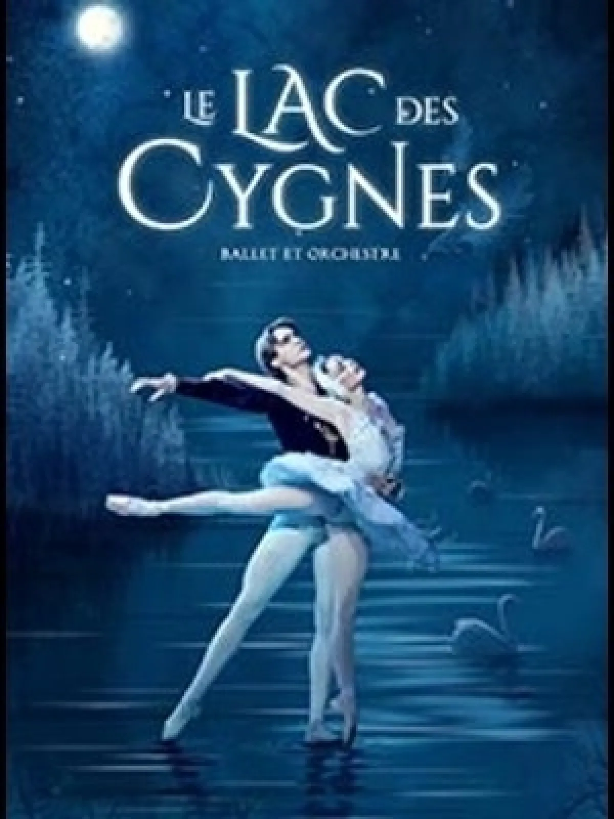 Le Lac Des Cygnes in der Palais Des Congres De Tours Tickets