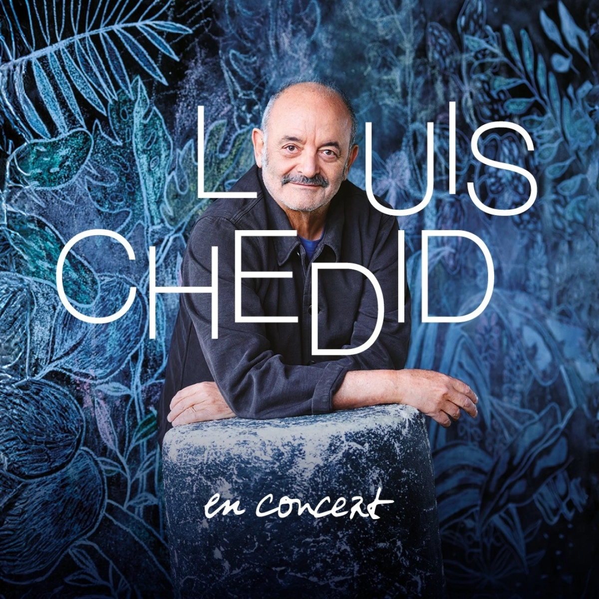 Louis Chedid at Theatre des Bouffes Du Nord Tickets