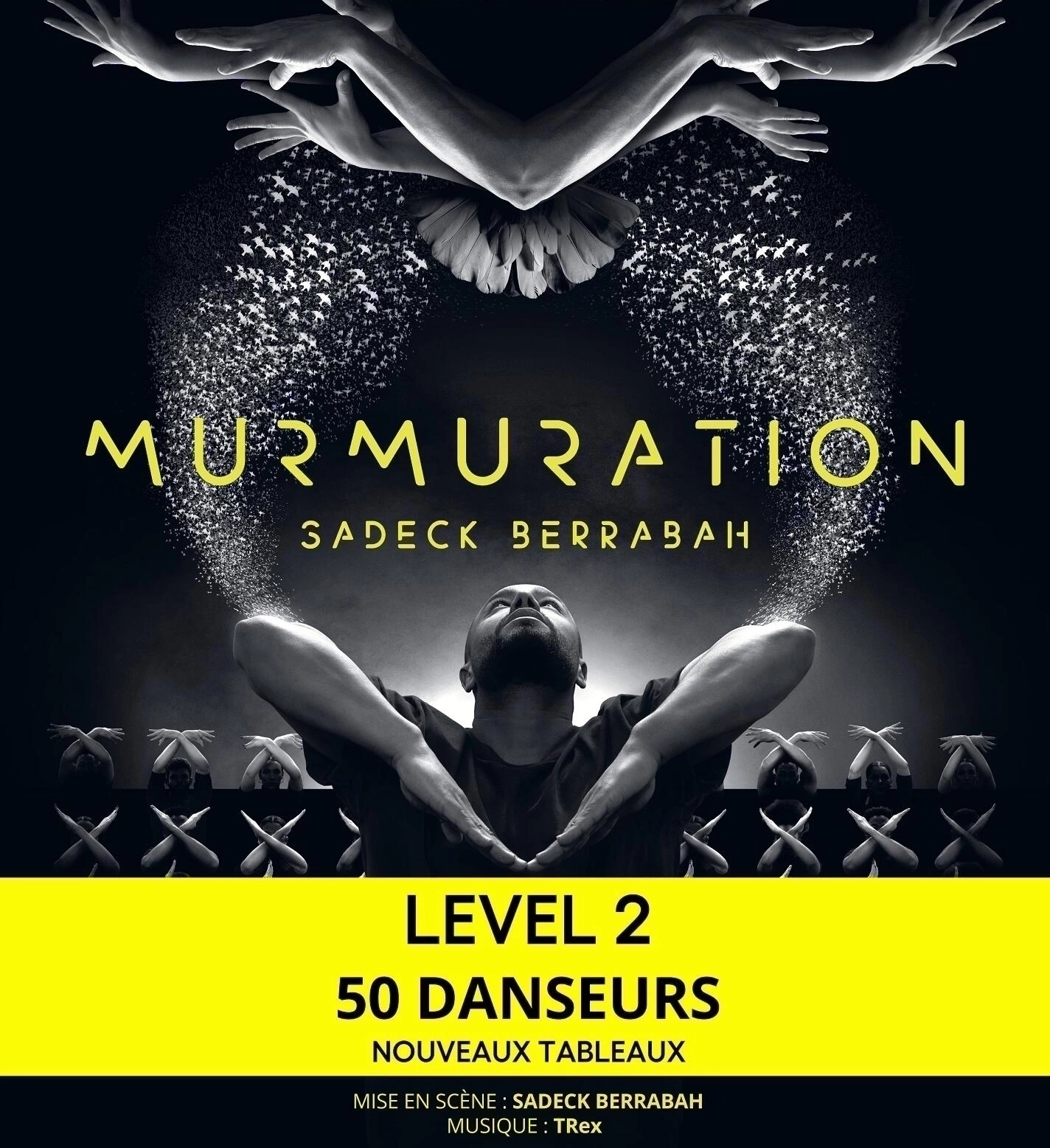 Murmuration De Sadeck Berrabah en Le 13eme Art Tickets