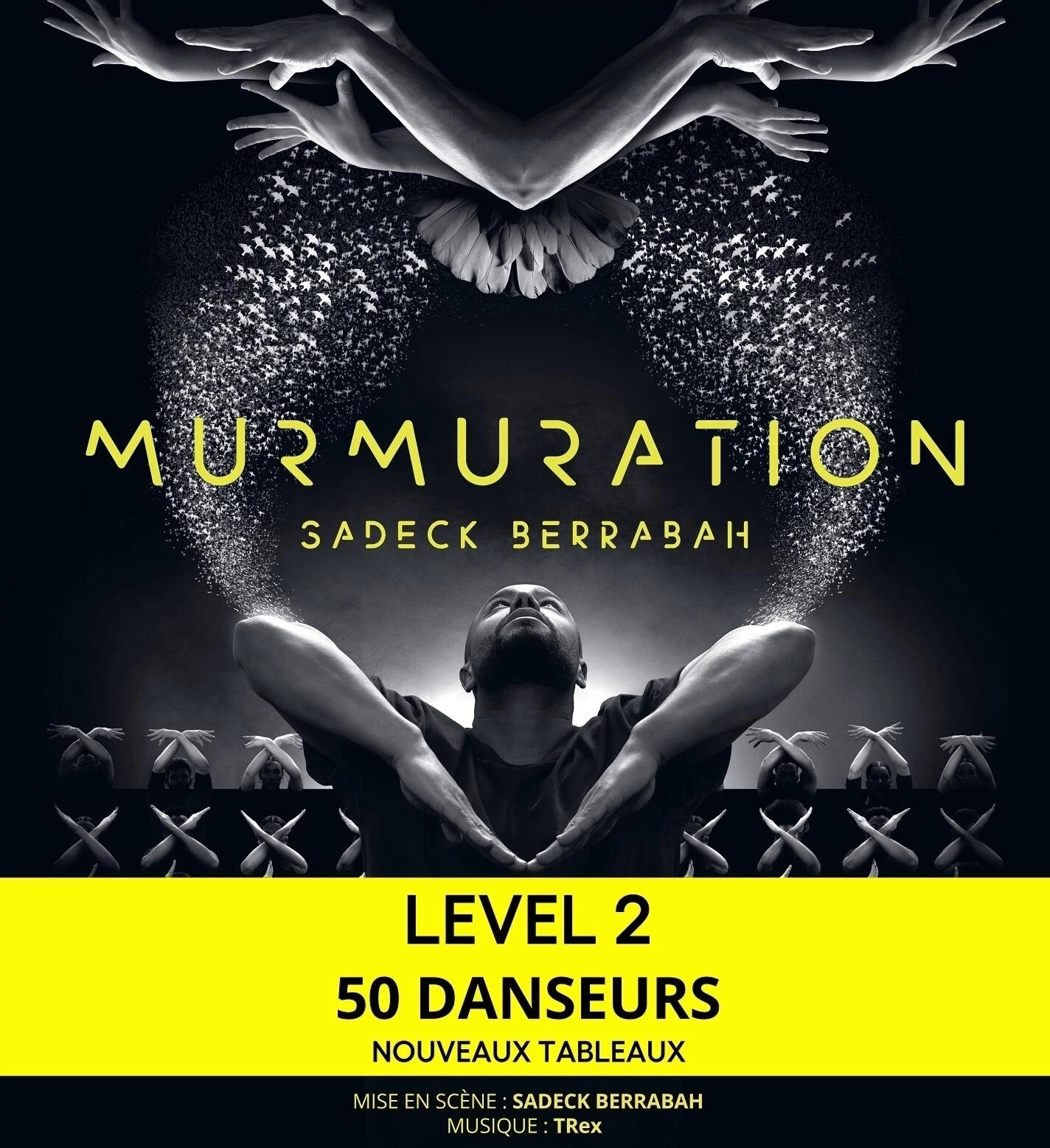 Murmuration - Sadeck Berrabah en Galaxie Tickets