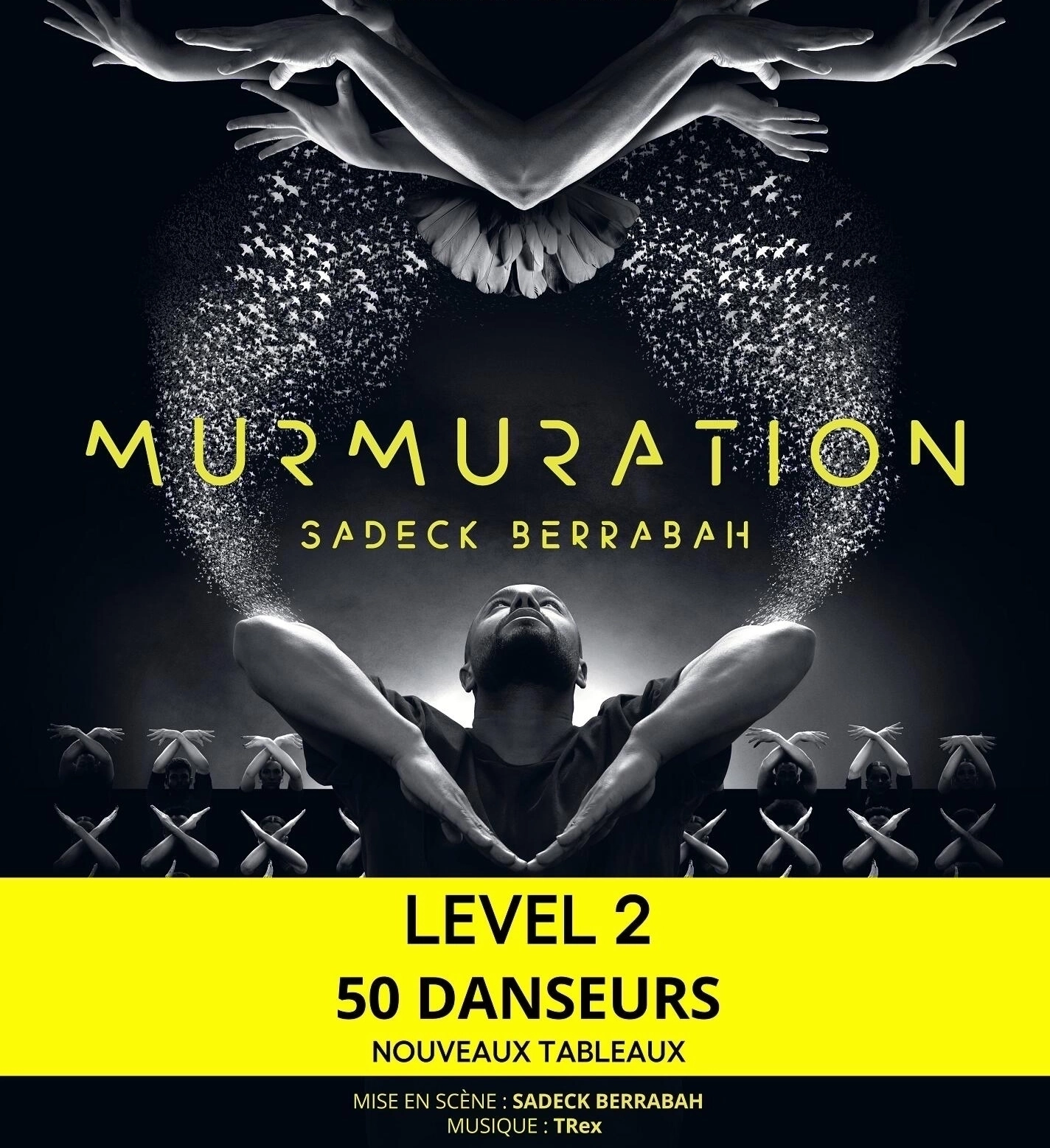 Murmuration - Sadeck Berrabah en Le Liberte Tickets