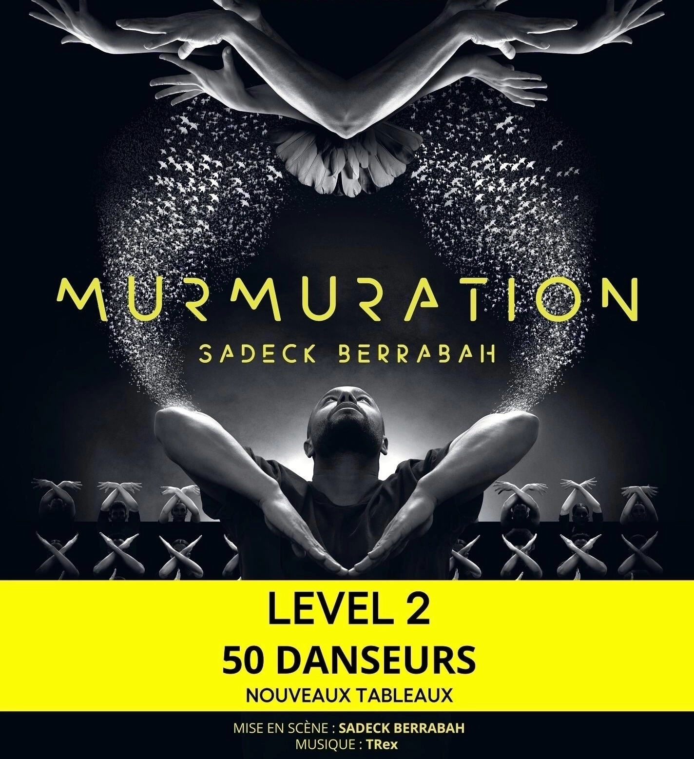 Murmuration - Sadeck Berrabah en Zenith Nantes Tickets