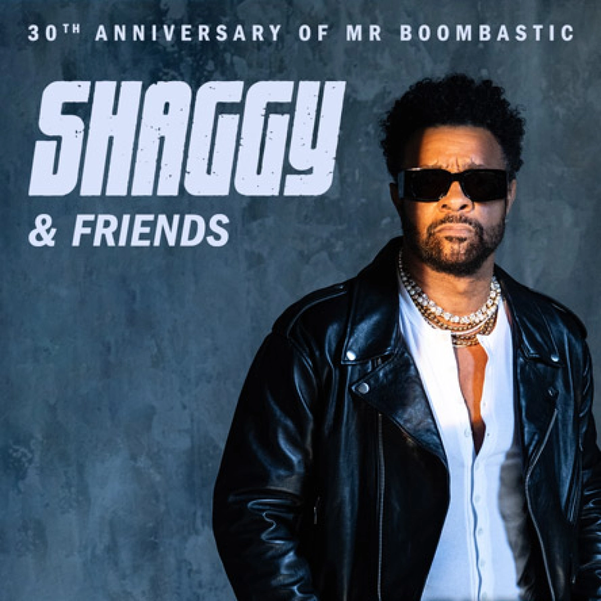 Shaggy en Arena Wien Tickets