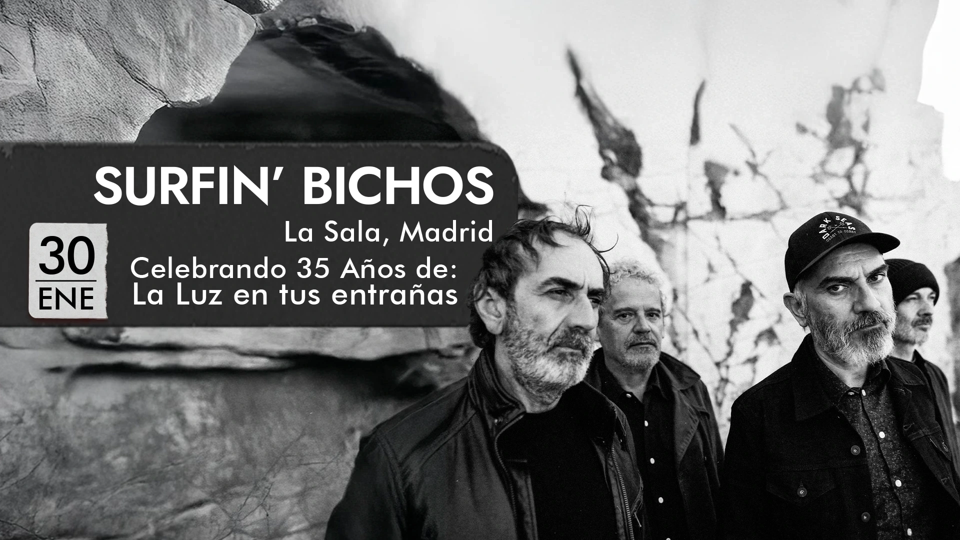 Billets Surfin' Bichos (WiZink Center - Madrid)